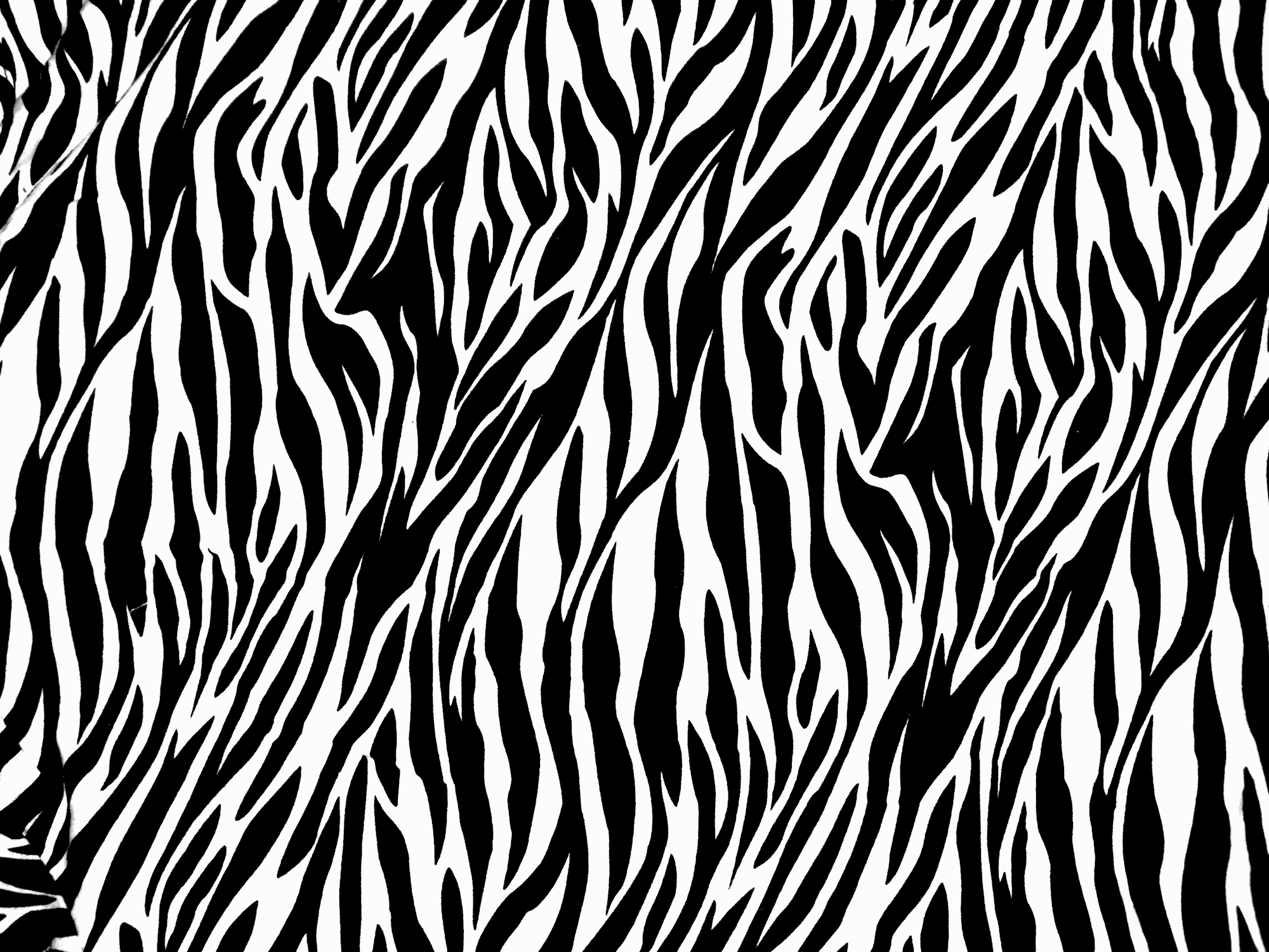 FunMozar – Zebra Print