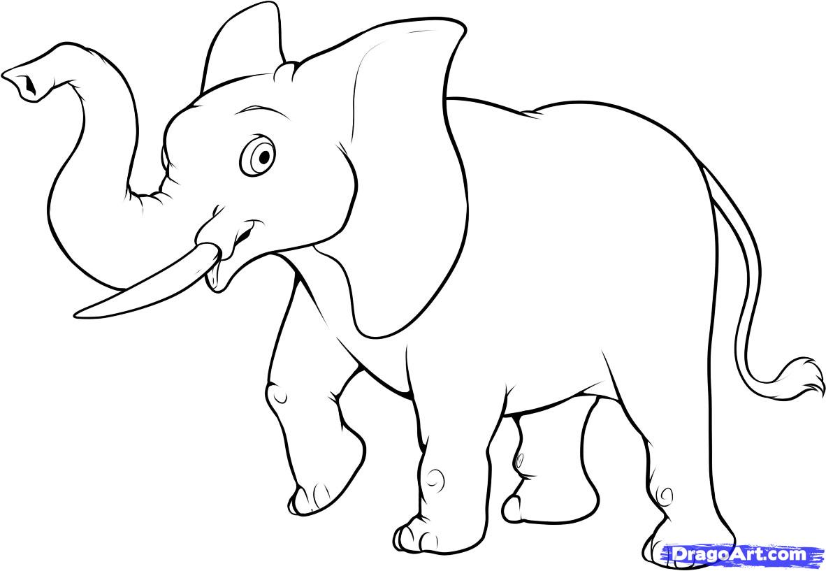 How To Draw An Elephant (11 Easy Steps To Follow) - Bujo Babe