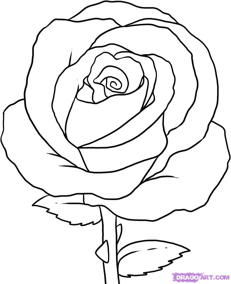 easy rose simple draw flower - Clip Art Library