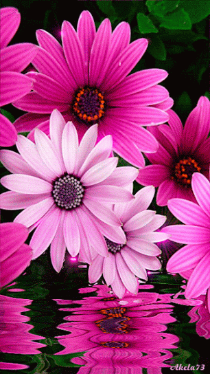 Free AI Image  A colorful flower wallpaper that saysflowerson it