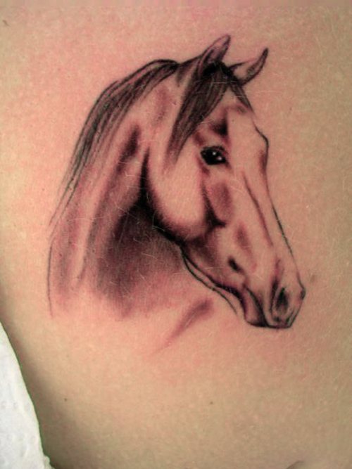 The Corner Tattoo Studio Golden Sands | Hello everyone 👋👋 today we had  the opportunity to tattoo one wonderful horse on its owner our big 💓  thanks to Dana for her patience. #