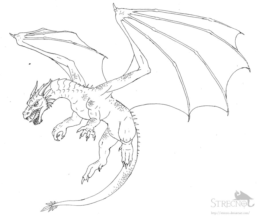 awesome flying dragon drawings