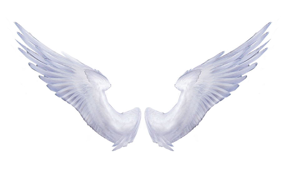 White Angel Wings 1 by SassiInks on Clipart library