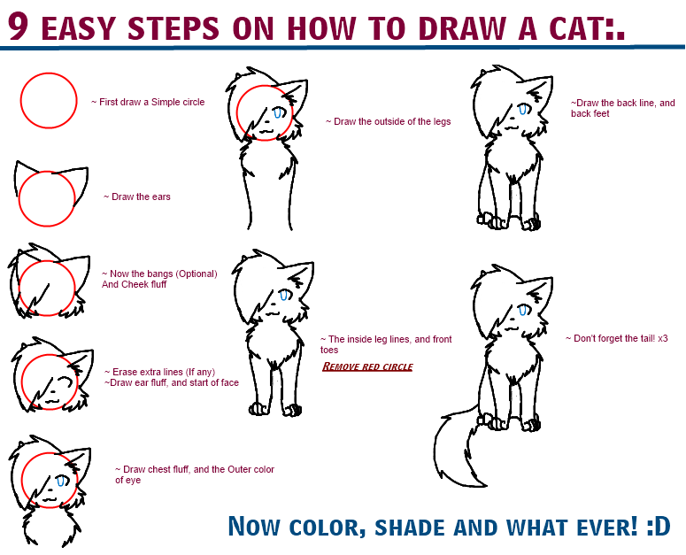 How To Draw A Cat:. by StarburstTiger on Clipart library