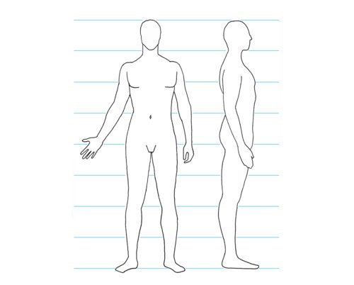 Drawing the Human Figure: Angles & Proportions | Human figure drawing, Human  figure sketches, Human figure