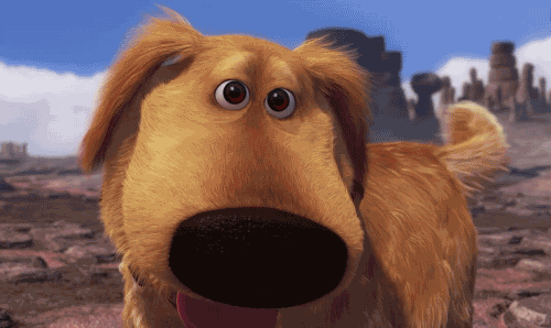 Dog Animated GIF