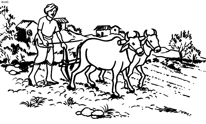 Cartoon Drawing Of A Farmer 5520027 Vector Art at Vecteezy