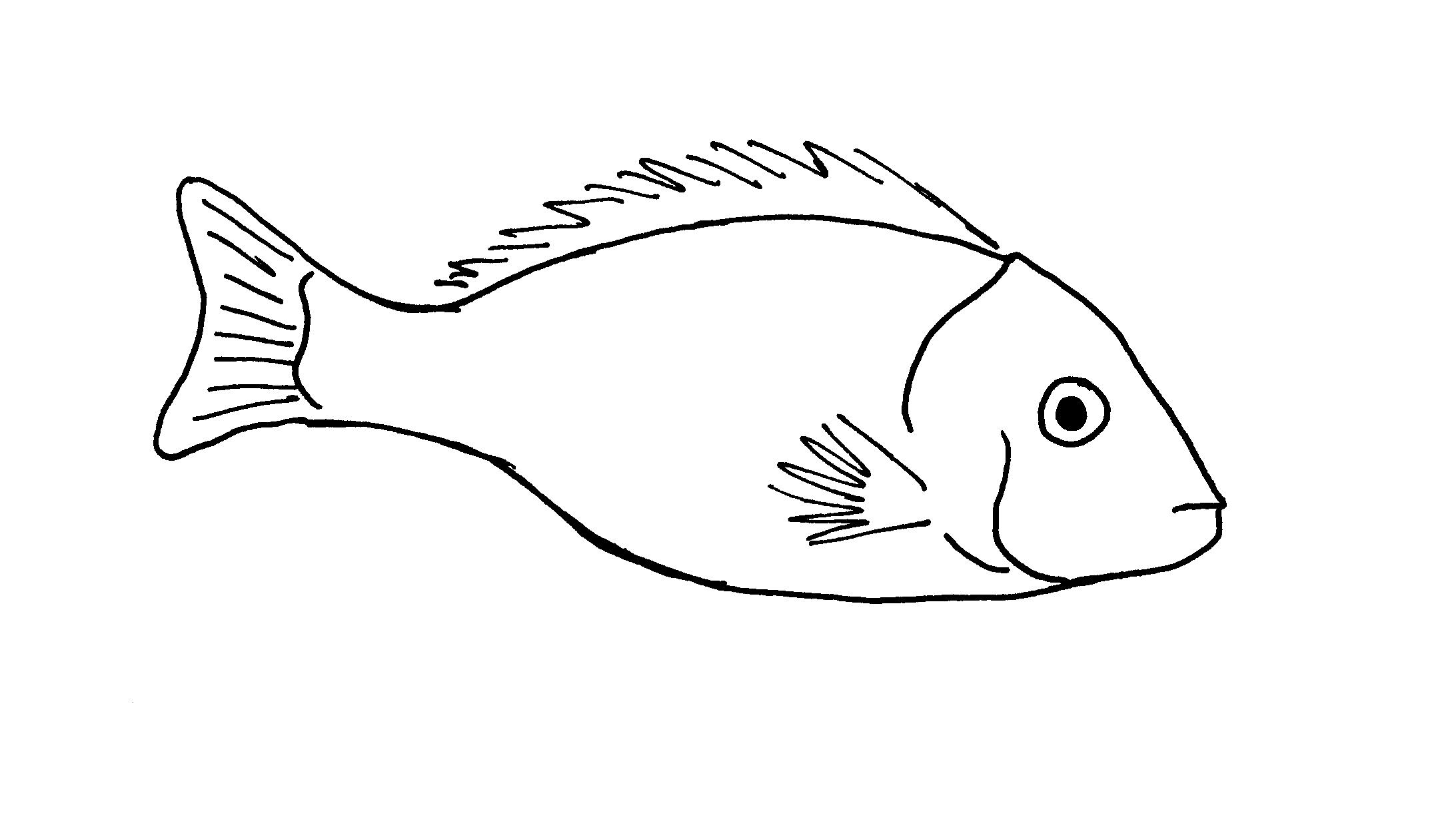 Была рыбка простая. Рыбка рисунок. Рыба карандашом. Рисунок рыбы для срисовки. Картинки рыб для срисовки.