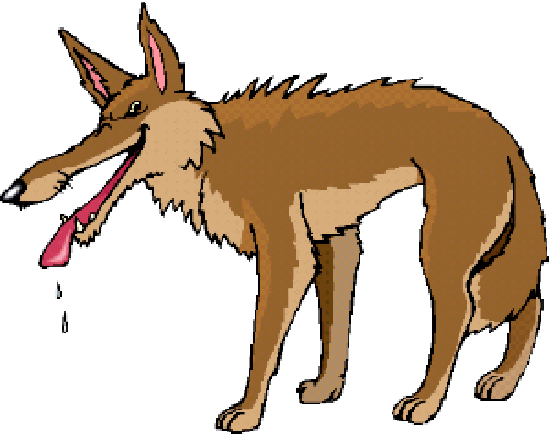 Cartoon Wolf PNG Transparent Images Free Download