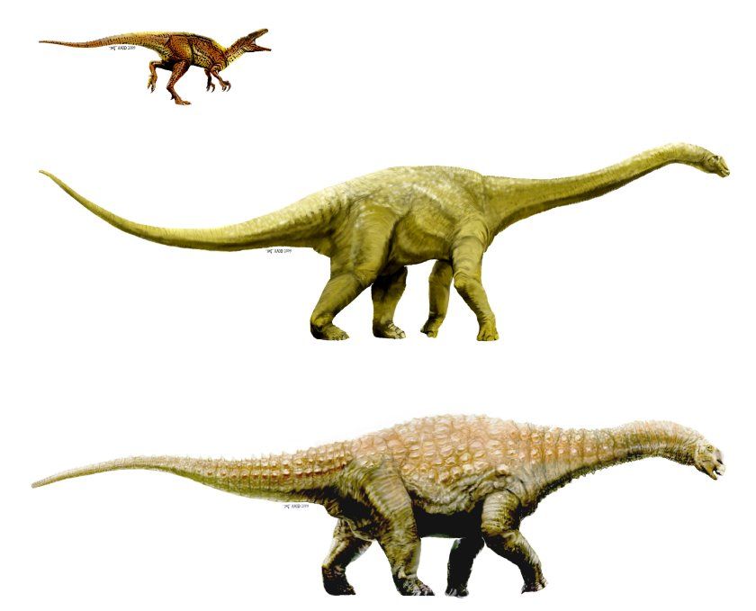 Scientific Illustrations of Prehistoric Dinosaurs - Theropod, Sauropod & Titanosaur