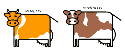 Jersey vs Ayrshire Cows: Key Differences in Appearance and Traits