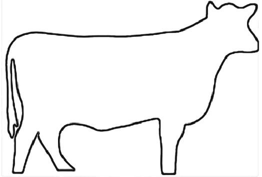 cattle outline