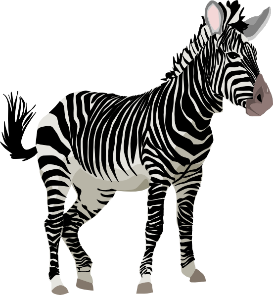 Zebra 3 clip art - vector clip art online, royalty free  public 