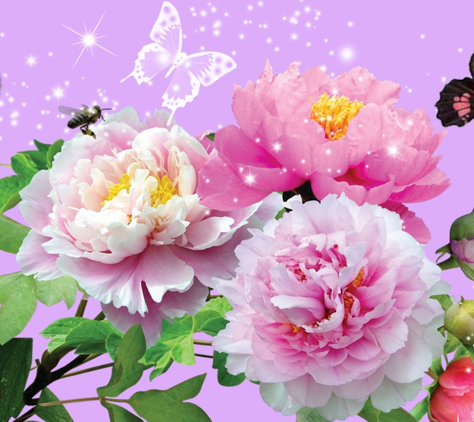 Beautiful Flowers Animated Images - Beautiful Flowers Gif -cute Flower ...