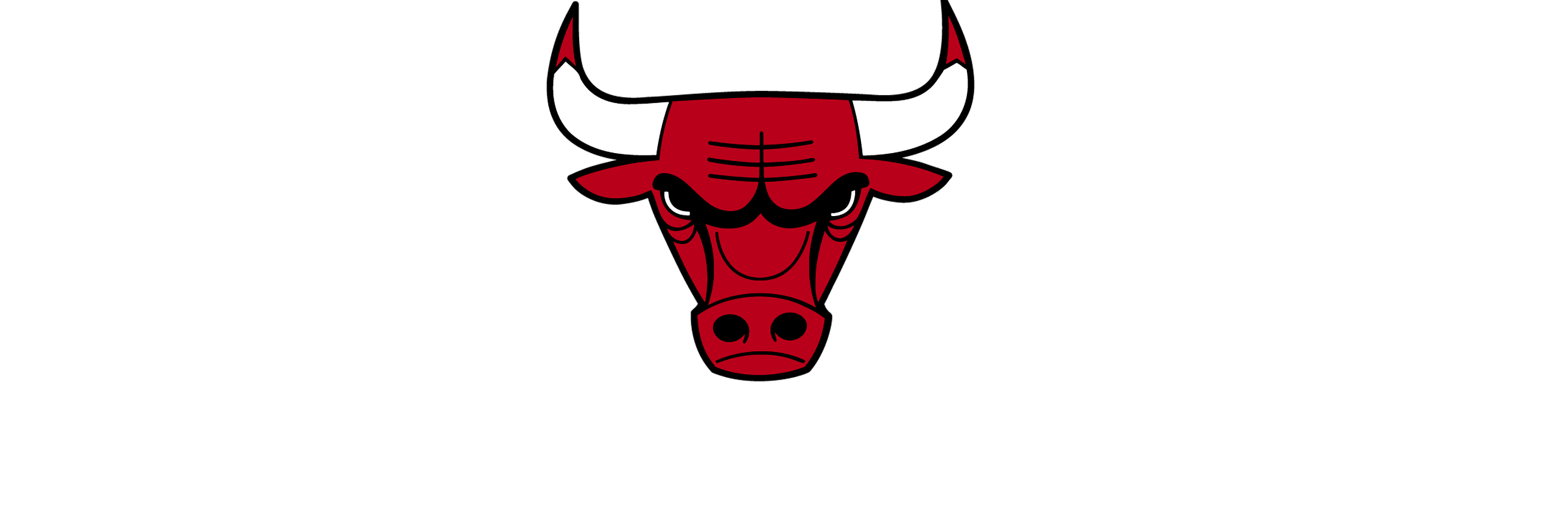 See Red 2015 | Chicago Bulls