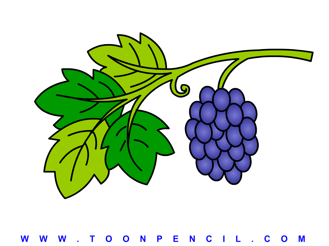 Line Drawing Cartoon Bunch Grapes Stock Illustration 1181494249 |  Shutterstock