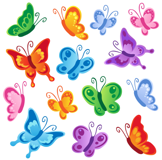 Butterfly | Vectorilla.com - Vector Images