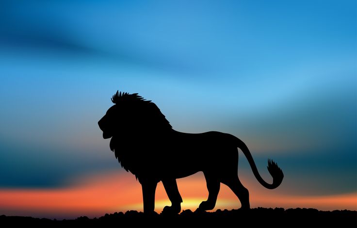Lion king on Clipart library | Lion Silhouette, Lion and The Lion King