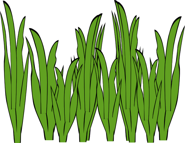 Grass Vector Png - Clipart library