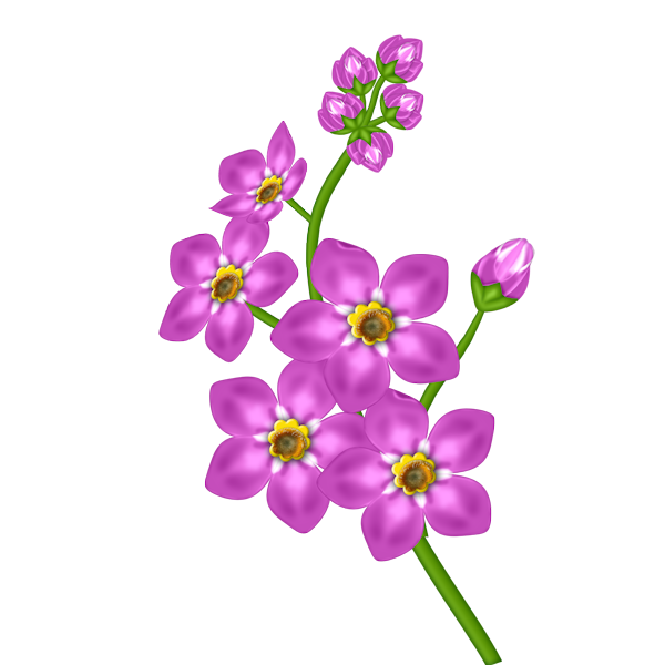 Pink Flower Transparent Clipart