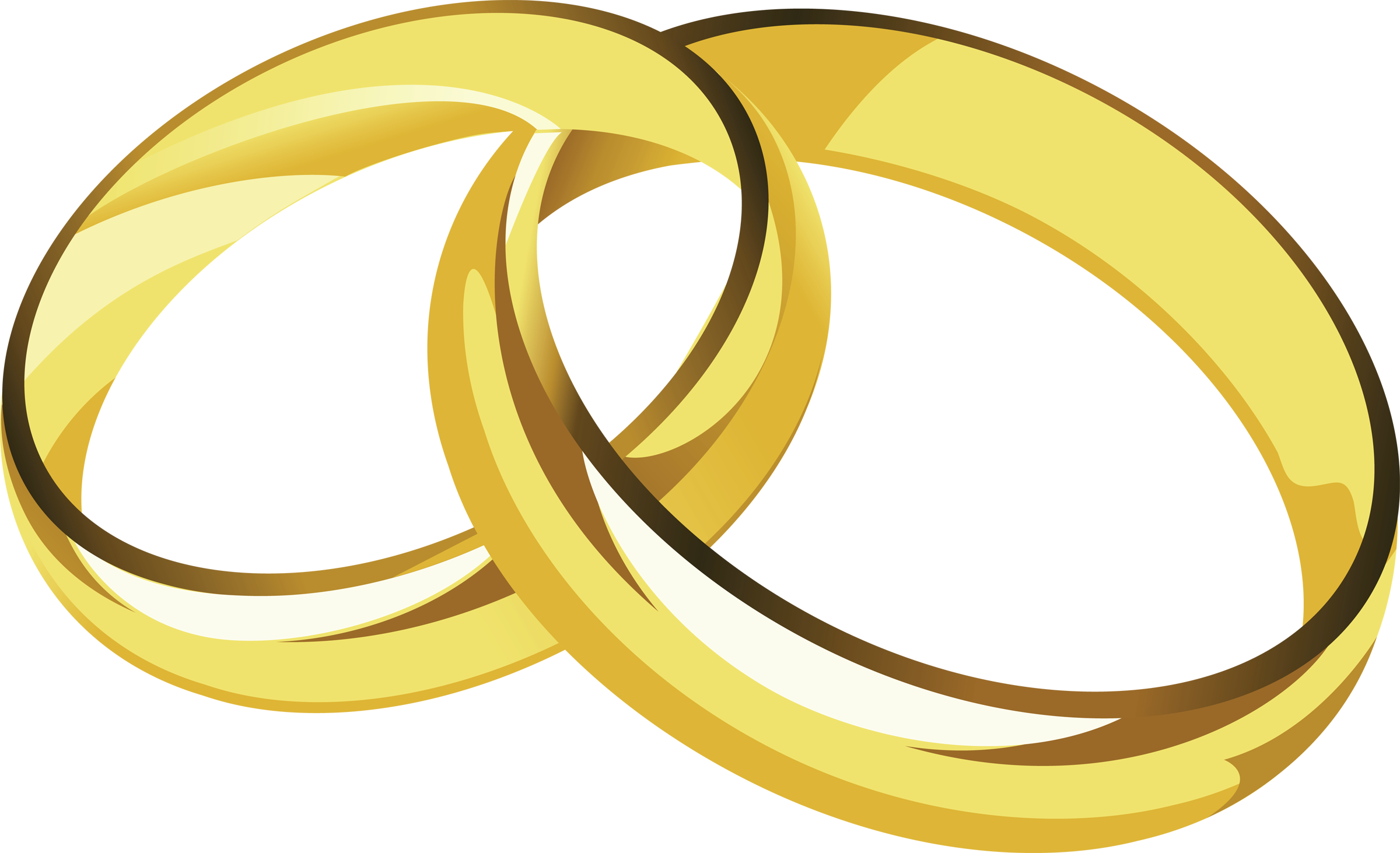 wedding ring vector png