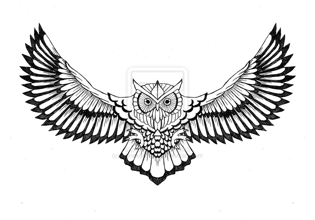 Black Owl Tattoo - wide 1