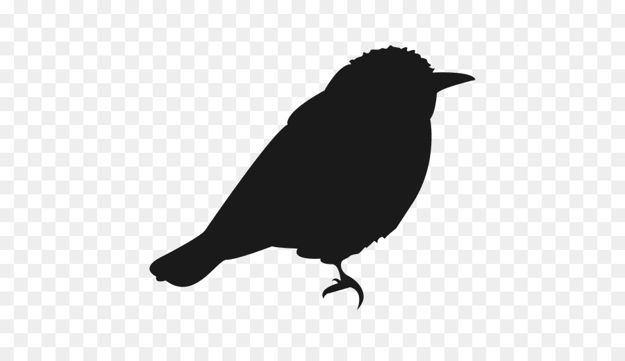 Bird Silhouette Vector graphics Euclidean vector Passerine - crow material png download - 512*512 - Free Transparent Bird png Download.
