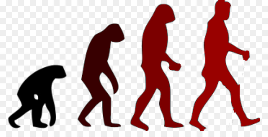 March of Progress Human evolution Neanderthal - right brain tendencies png download - 847*441 - Free Transparent March Of Progress png Download.