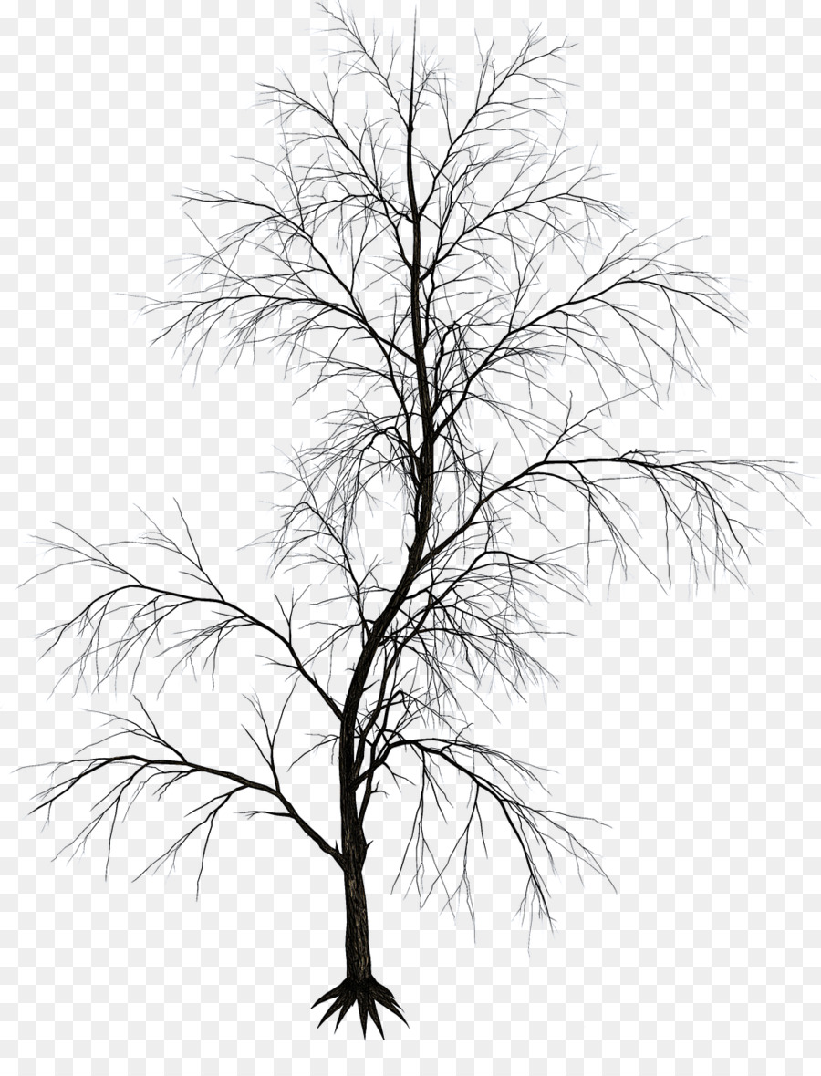 Black and white Twig Aesthetics Image Drawing - african tree png download - 990*1280 - Free Transparent Black And White png Download.
