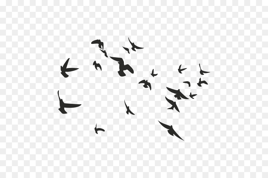 Bird Columbidae Flock - tattoo pattern png download - 600*600 - Free Transparent Bird png Download.