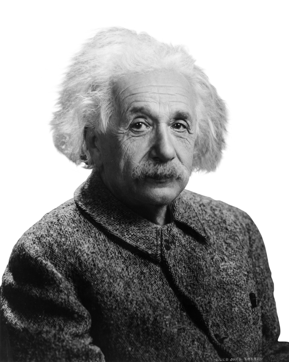Известные ученые на х. Арбельт Эйнштейн.