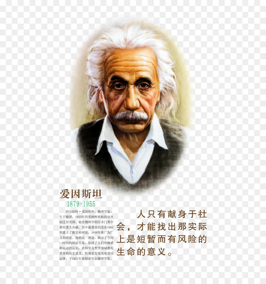 Albert Einstein The Theory of Relativity Scientist - Einstein panels png download - 3150*4604 - Free Transparent Albert Einstein png Download.