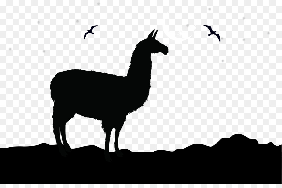 Alpaca Llama Logo Clip art - Vector camel silhouette illustration png download - 2917*1907 - Free Transparent Alpaca png Download.