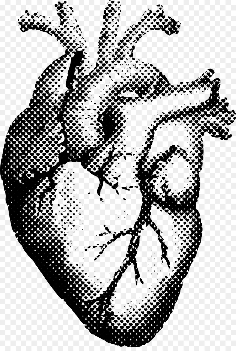 Heart Human anatomy T-shirt Printing - human heart png download - 1621*2388 - Free Transparent  png Download.