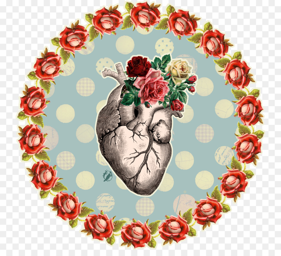 Anatomy Heart Drawing - ContemporaryBackground png download - 800*801 - Free Transparent Anatomy png Download.