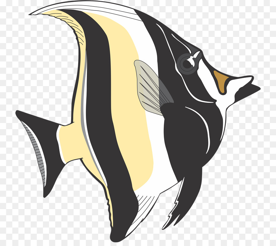 Angelfish Tropical fish Clip art - fish png download - 800*788 - Free Transparent Angelfish png Download.