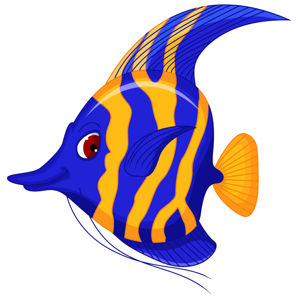 Angelfish Cartoon Clip art - One fish png download - 978*980 - Free ...