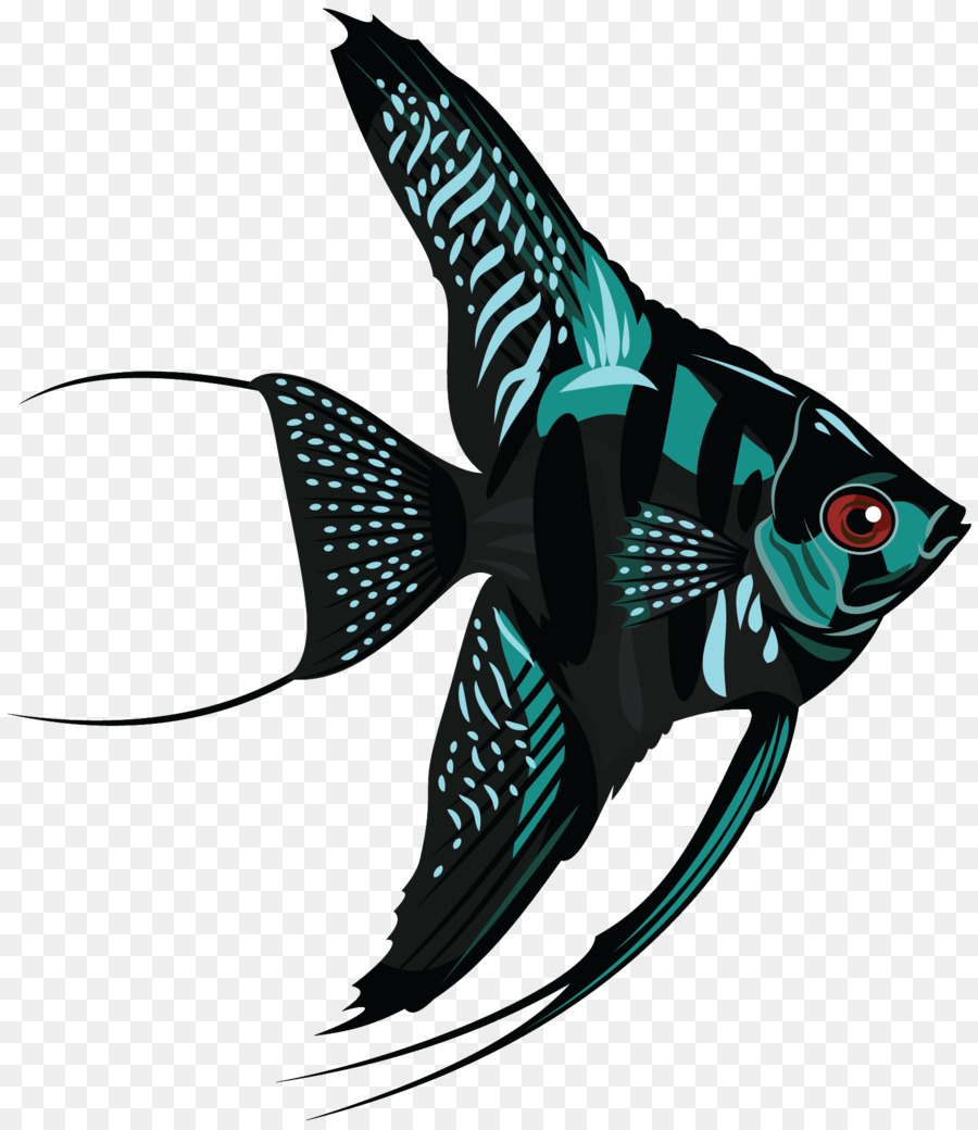 Freshwater angelfish - fish png download - 1651*1901 - Free Transparent Freshwater Angelfish png Download.