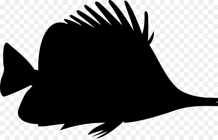 Portable Network Graphics Fish Clip art Silhouette Drawing -  png download - 1969*1255 - Free Transparent Fish png Download.