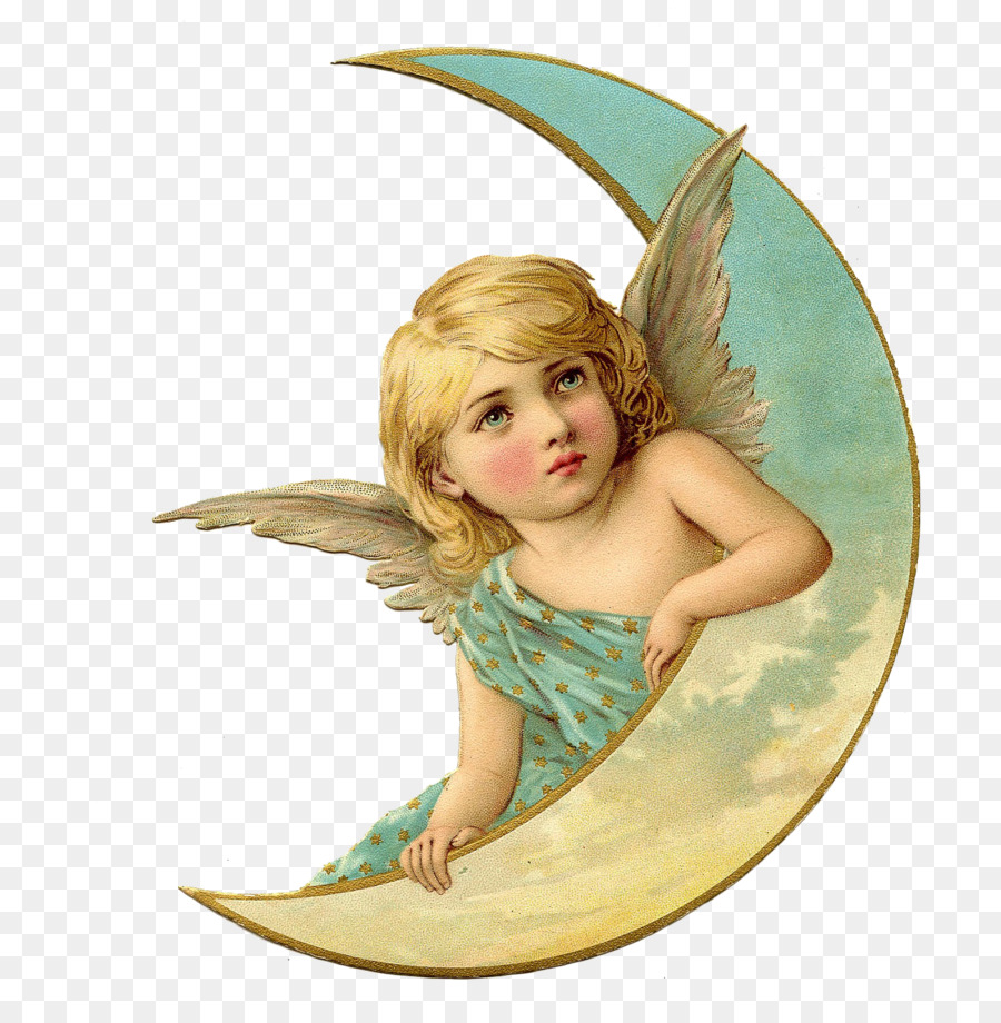 Cherub Angel Clip art - angel png download - 800*912 - Free Transparent Cherub png Download.