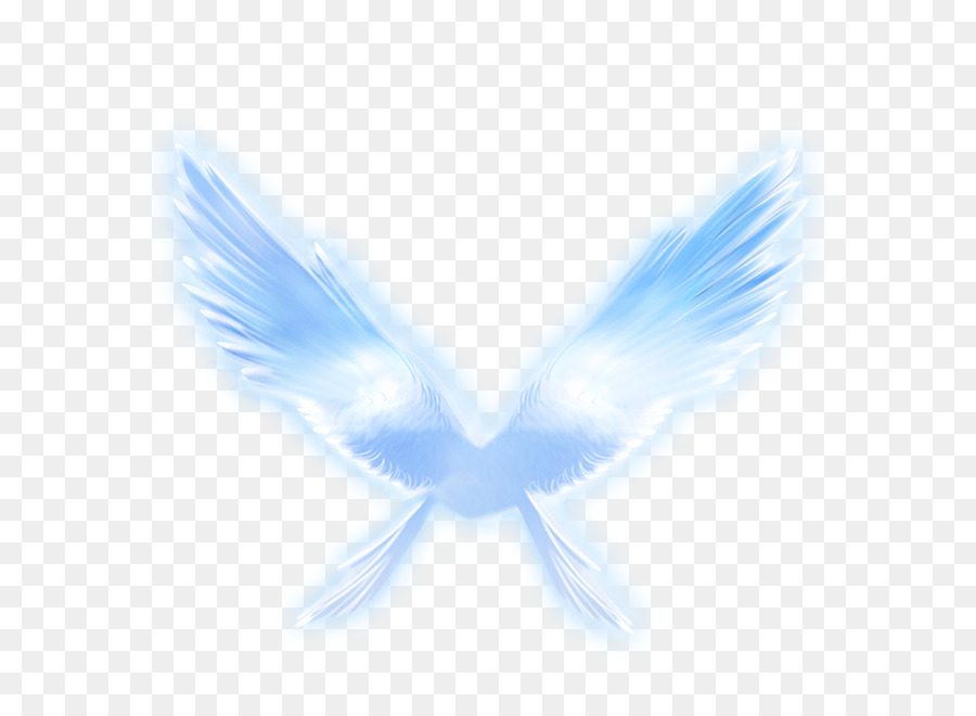 Wing - Angel wings png download - 650*650 - Free Transparent Wing png Download.
