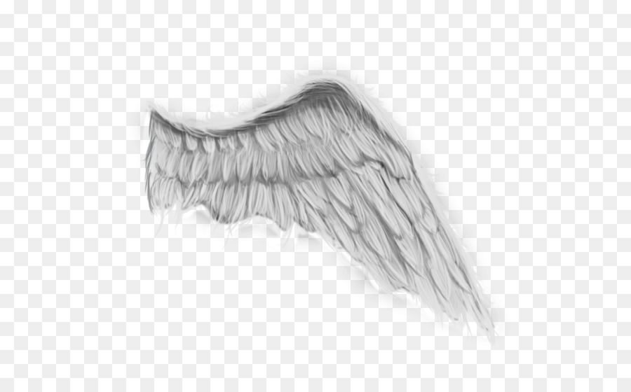 Angel wing Painting Drawing DeviantArt - painting png download - 580*543 - Free Transparent Wing png Download.