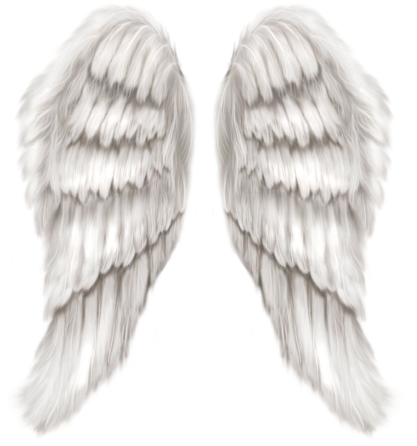 Angel Wings Png Angel Wings Png Download Image 1 Angel Wings Png - Riset