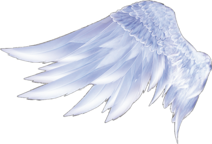 Angel wings Angel wings Feather - wings png download - 705*480 - Free ...