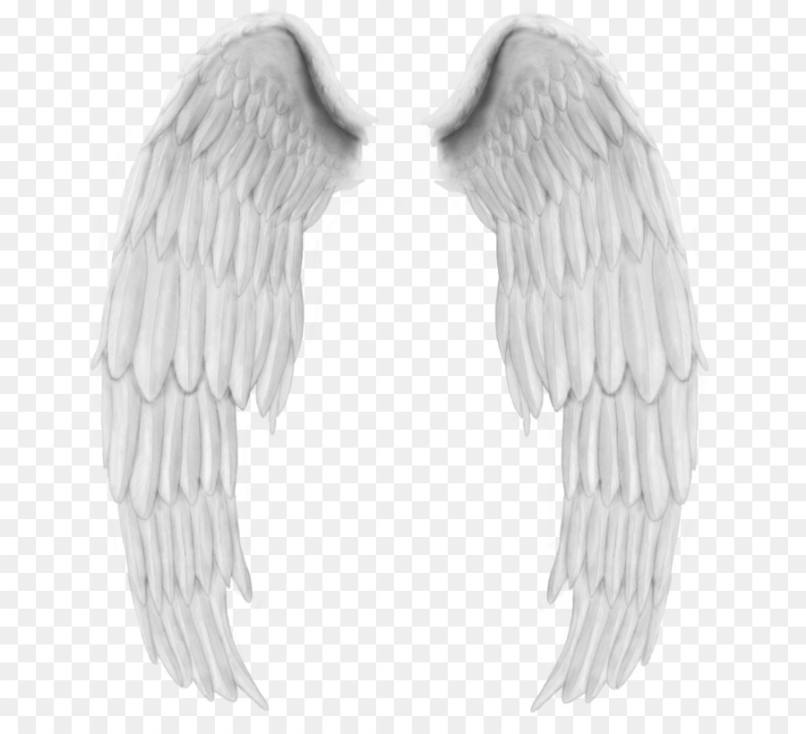 Angel Wing Bird - angel png download - 700*801 - Free Transparent Angel png Download.