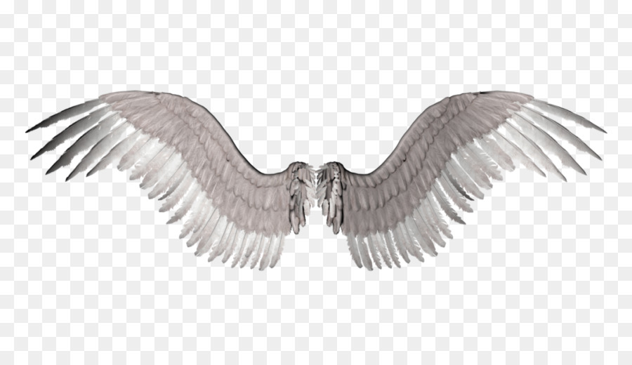 Photography Clip art - Angel Wings Png png download - 1024*576 - Free Transparent Photography png Download.