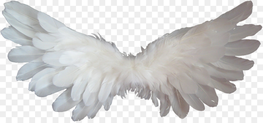 Angel Heaven Clip art - angel wings png download - 1920*888 - Free Transparent Angel png Download.