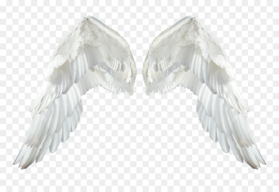 DeviantArt Neck Download - white angel wings png download - 1024*683 - Free Transparent Deviantart png Download.