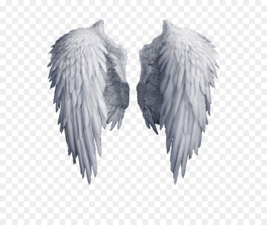 Angel Wing Clip art - White angel wings PNG png download - 1024*1192 - Free Transparent Download png Download.