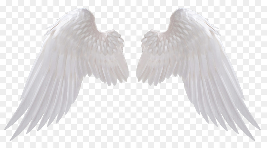 Free Angel Wings Transparent Background, Download Free Angel Wings  Transparent Background png images, Free ClipArts on Clipart Library